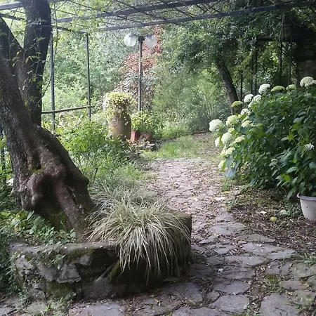 Il Giardino Delle Ortensie Lägenhet