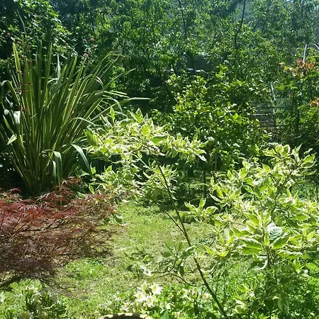 Il Giardino Delle Ortensie Lägenhet Salto Chiesa