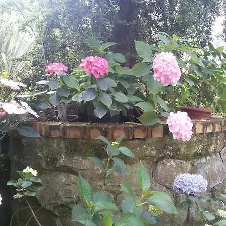 Апартаменты Il Giardino Delle Ortensie